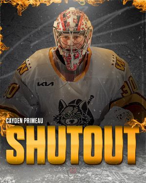 Image post by @Chicago_Wolves on Twitter