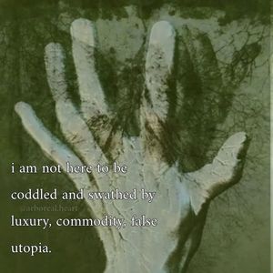 Image post by @green.anarchist on Instagram