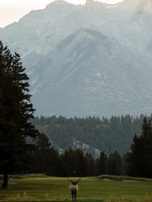 Image post by @banffspringsgolfcourse on Instagram