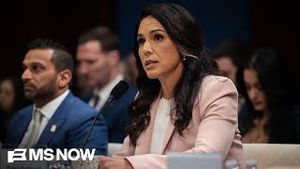 Video post by @msnbc on YouTube