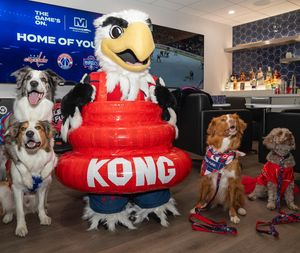 Image post by @caps_slapshot on Instagram