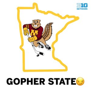 Image post by @MinnesotaOnBTN on Twitter