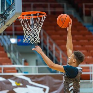 Image post by @gobonnies on Instagram