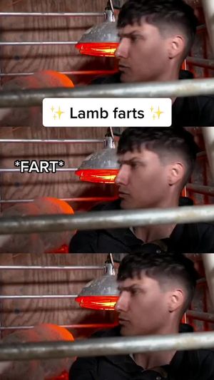 Video post by @cbbc on TikTok