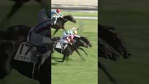 Video post by @worldhorseracing on YouTube