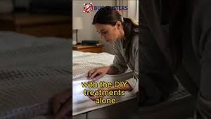 Video post by @bugbustersusa on YouTube