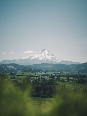 Image post by @arthaimage on Instagram