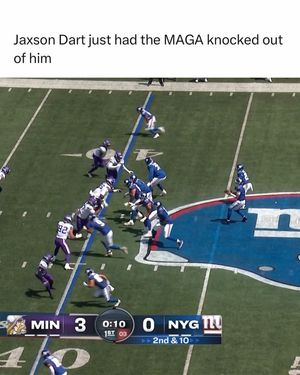 Image post by @nflmemss on Instagram