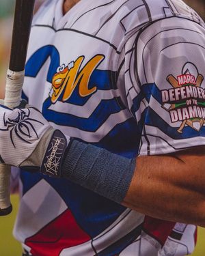 Image post by @biscuitbaseball on Instagram