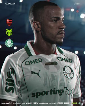 Image post by @palmeiras on Instagram