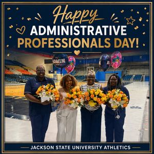 Image post by @gojsutigers on Instagram
