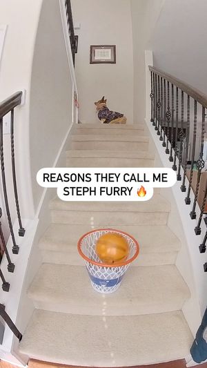 Image post by @aircorg on Instagram