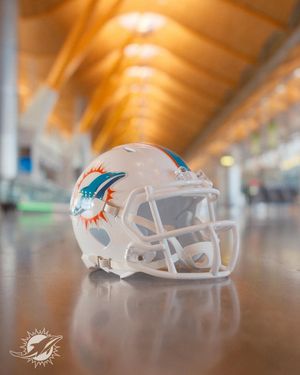 Image post by @losdolphins on Instagram