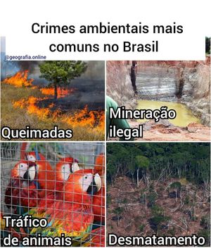 Image post by @operitoambiental on Instagram
