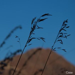 Image post by @cristan.nature.photography on Instagram