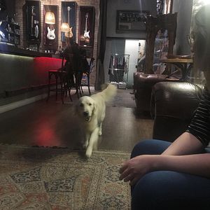 Image post by @mikethewhitegolden on Instagram