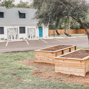 Image post by @thebowiesa on Instagram