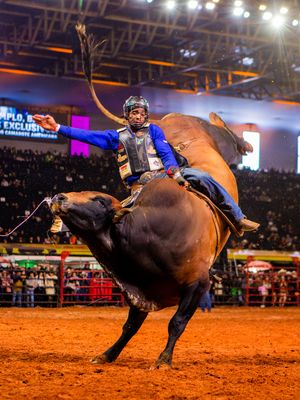 Image post by @pbrbrazil on Instagram