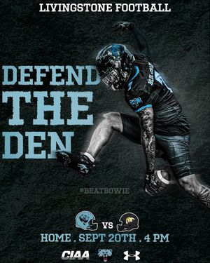 Image post by @bluebearathletics on Instagram