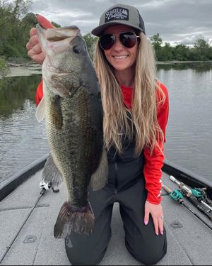 Image post by @scheelsoutdoors on Instagram