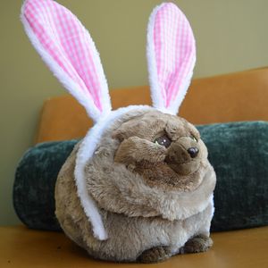 Image post by @wingfeathersaga on Instagram