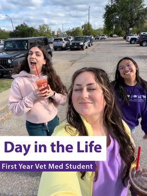 Video post by @kstateofficial on TikTok
