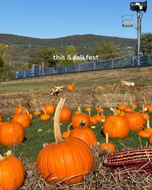 Image post by @mountaincreek on Instagram