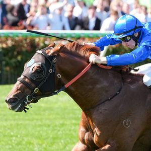 Image post by @godolphin on Instagram