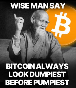 Image post by @bitcoin.conference on Instagram