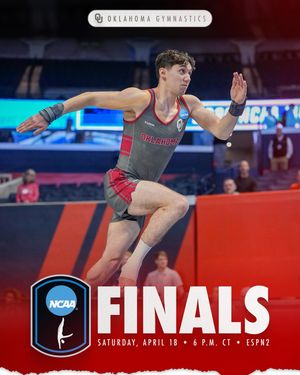 Image post by @ou_mgymnastics on Instagram
