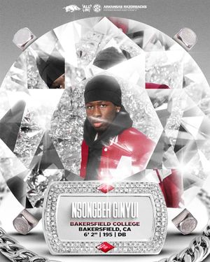 Image post by @razorbackfb on Instagram