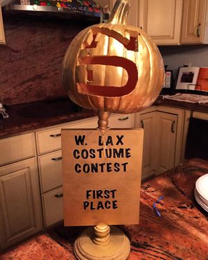 Image post by @ndwomenslax on Instagram