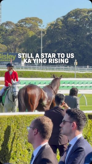 Image post by @worldhorseracing on Instagram