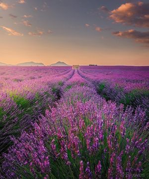 Image post by @nature88885 on Instagram