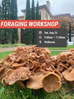 Image post by @philbrookmuseum on Instagram