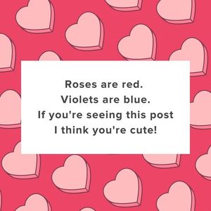 Image post by @francescas on Instagram