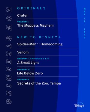 Image post by @DisneyPlus on Twitter