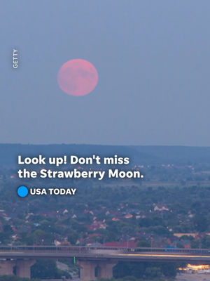 Video post by @usatoday on TikTok