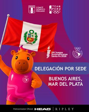 Image post by @copteamperu on Twitter/X