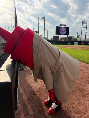 Image post by @thechicagodogs on Instagram