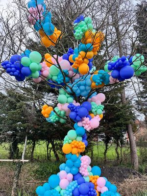 Image post by @balloonoccasions on Instagram