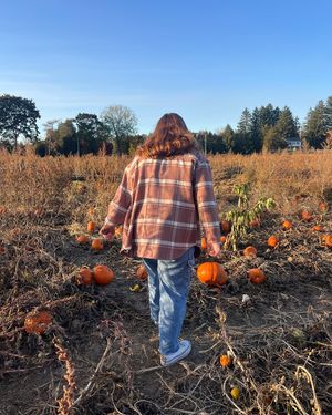 Image post by @dphie_newhaven on Instagram