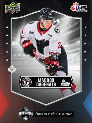 Image post by @quebec_remparts on Instagram