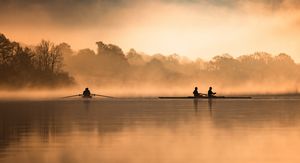 Image post by @brothercarp on Instagram