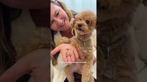 Video post by @etsy on YouTube