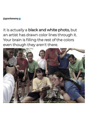 Image post by @gravitonomy on Instagram