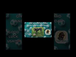 Video post by @topdogmold on YouTube