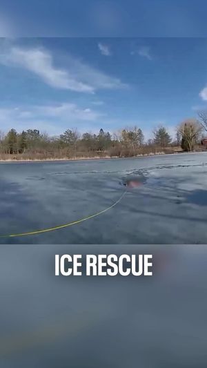 Video post by @fox6now on Instagram