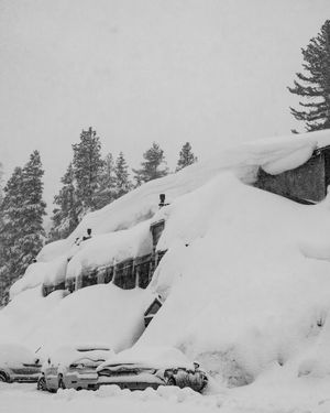 Video post by @mammothmountain on TikTok