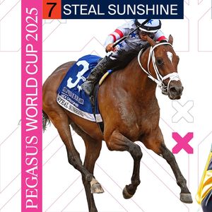 Image post by @pegasusworldcup on Instagram